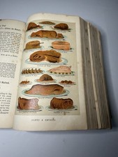 RARE 1891 Mrs Beeton Book of