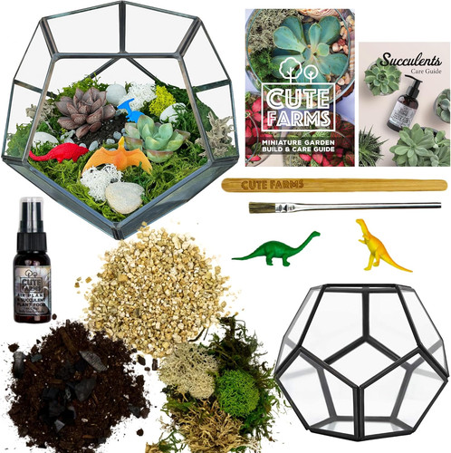 Glass terrarium kit just add - kit, |