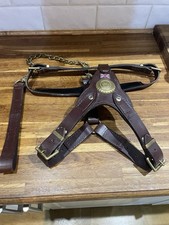 Leather And Brass Dog Harness  and lead set Large