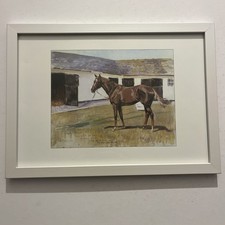 Grundy Enjoying The Sun Framed