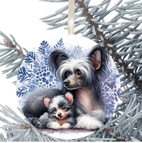 Chinese crested dog hanging - chinese,