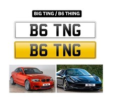 BIG TING / B6 THING private