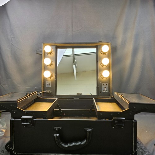 Professional vanity case - professional,