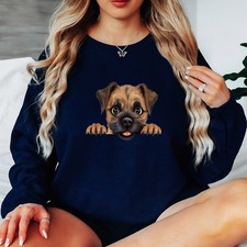 Border Terrier Puppy Dog