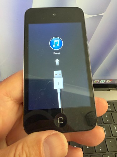 Apple ipod touch 4th - touch, 8gb