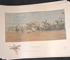 Grand national horse racing - horse,