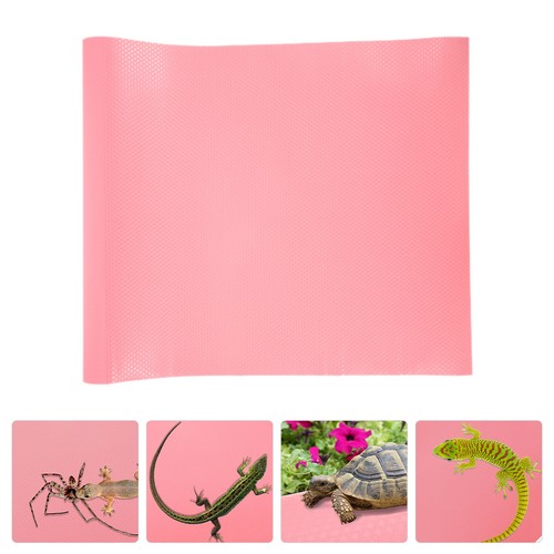 Tortoise habitat accessories - tortoise,