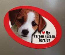 Large Parson Russell Terrier