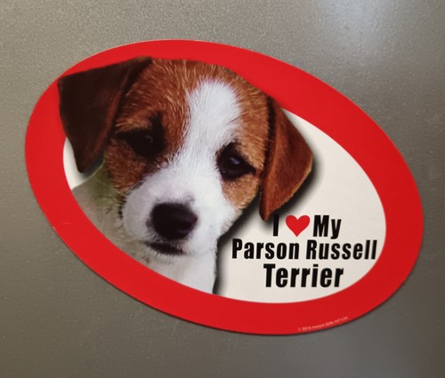Large parson russell terrier - large,
