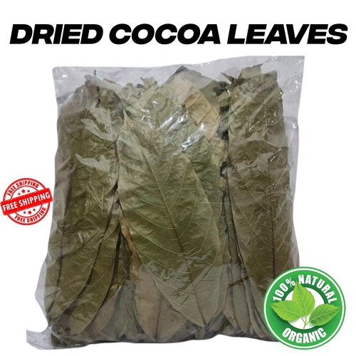 Cocoa leaves pure organic - leaves,