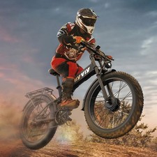 Electric Mountain Bike Dual