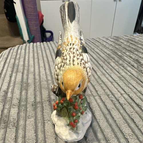 Beautiful birds collection - beautiful,