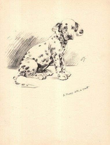 1935 antique dalmatian - 1935,