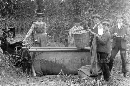 Azf social history - azf-90, history,