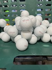 40 Kirkland Signature White