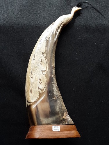 Hand carved buffalo horn - buffalo,