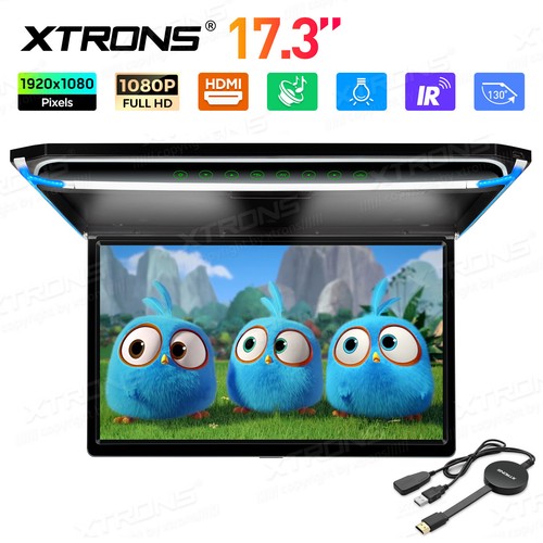 Screen car roof overhead - screen,