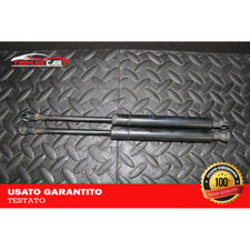 51238202688 Pair Of Front Hood