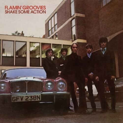 The flamin groovies shake - groovies,