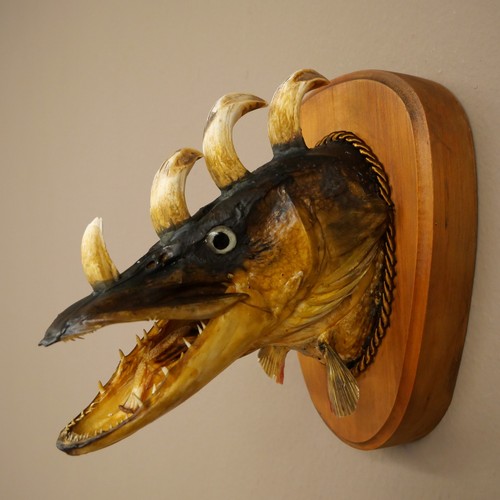Fischwolpi wolpertinger - fischwolpi,