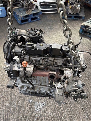 Citroen peugeot diesel - 1.6,
