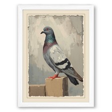 Pigeon study vintage framed - study,