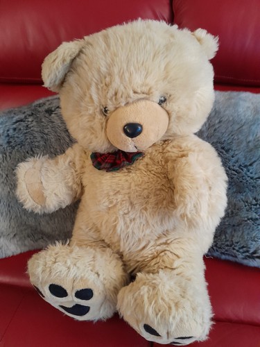 1990 large teddy - 1990's,