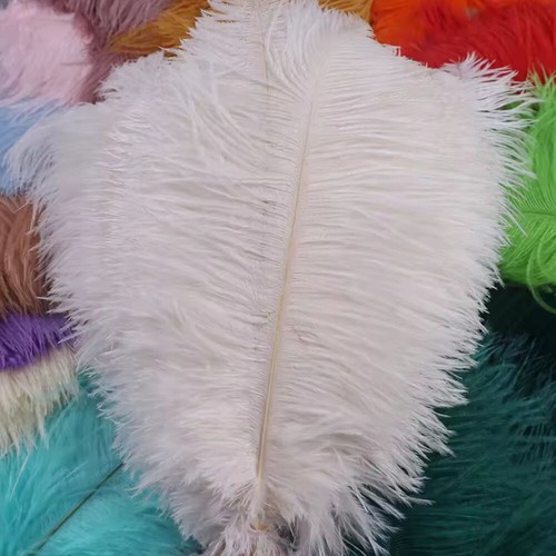 Pack premium ostrich - 10,