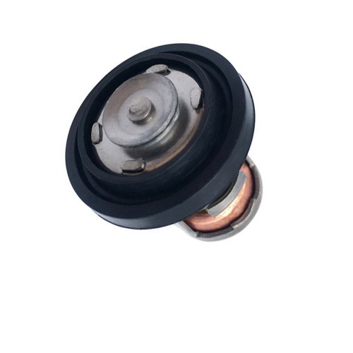 Thermostat for yamaha stroke - for,
