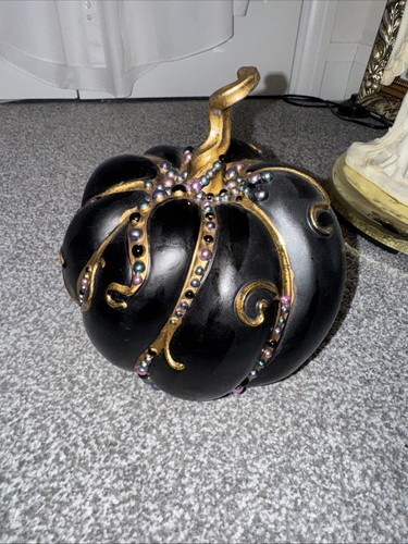 Max black pumpkin halloween - tk,