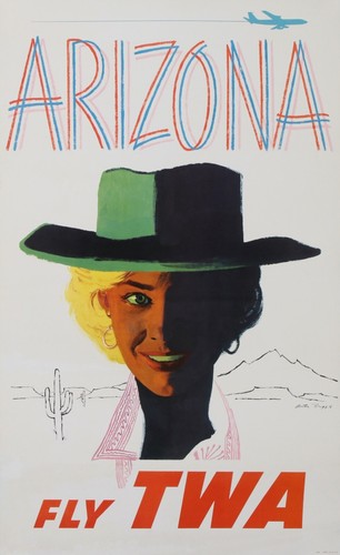 Briggs vintage poster - poster, fly
