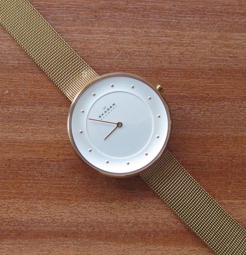 Classic skagen ladies quartz - skagen,