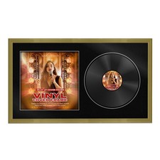30x17 Vinyl Record Album Cover & Display Frame Memorabilia wall Art for Lp 12''