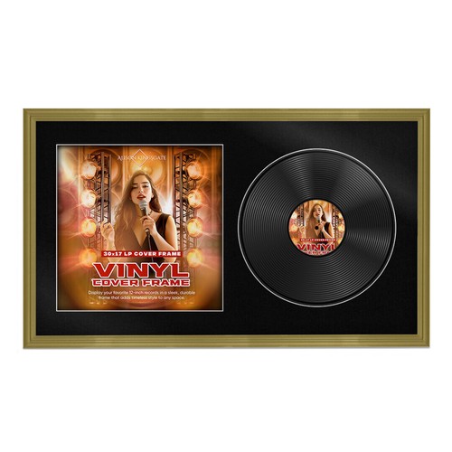 30x17 vinyl record album cover - album,