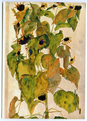 Fine art postcard sunflowers - fine,