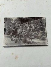 RARE Antique Photograph Glasgow Carriage With Horses Carriage Driver