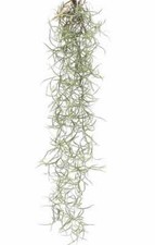 SMALL Hanging airplant -