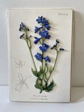 Marks & Spencer Delphinium Hand Painted 3D Floral Wall Plaque 21.5 x 15 cm
