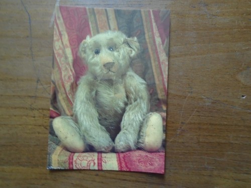 Old teddy bear - an,