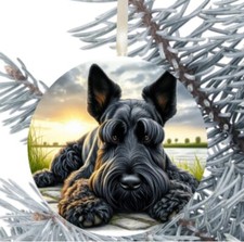 Scottish Terrier Dog Hanging