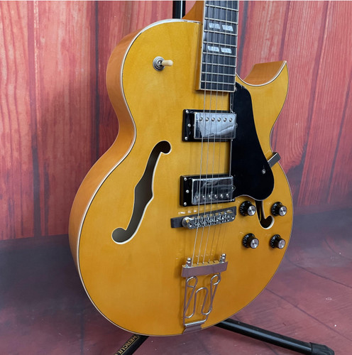 1975 175 nature electric - es-175,