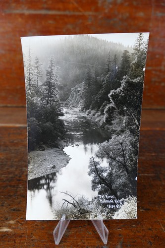 1920s rppc california - rppc, redwood