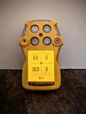 BW GasAlert Quattro Gas