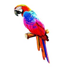 Colorful Artificial Parrots Figurines DIY Sculpture for Home Party Outdoors