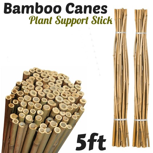 Bamboo garden canes - bamboo, strong
