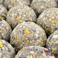 FAT BALLS FOR WILD BIRDS  WINSTON WILDS BEST DELUXE QUALITY HANDMADE