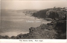 North Cliffs Port Isaac