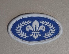 UK Scouting DISCONTINUED Cub