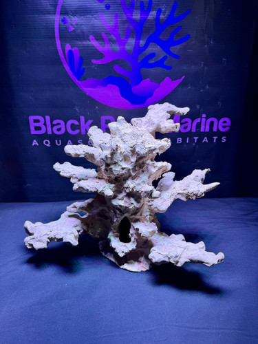 Bpm scape nano - |, |