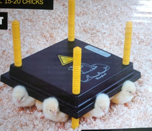 Comfort chick brooder - 25,